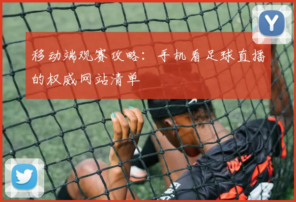 移动端观赛攻略：手机看足球直播的权威网站清单
