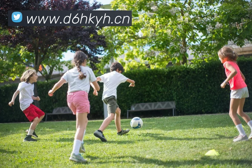 星空体育综合链接品牌故事